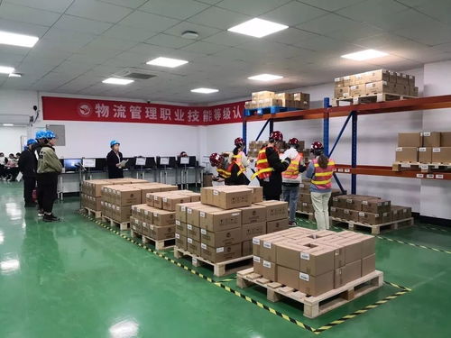 走過(guò)2019，奮斗的足跡——成果展學(xué)院篇之外語(yǔ)外貿(mào)學(xué)院、建筑工程學(xué)院、創(chuàng)意設(shè)計(jì)學(xué)院與策劃創(chuàng)意服務(wù)